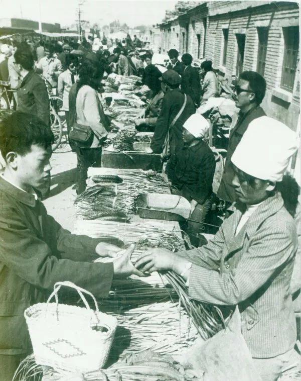 乌海盛会,尊敬的领导与朋友们共聚一堂